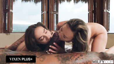 A curated collection of steamy classroom and office encounters where MILFs take full control